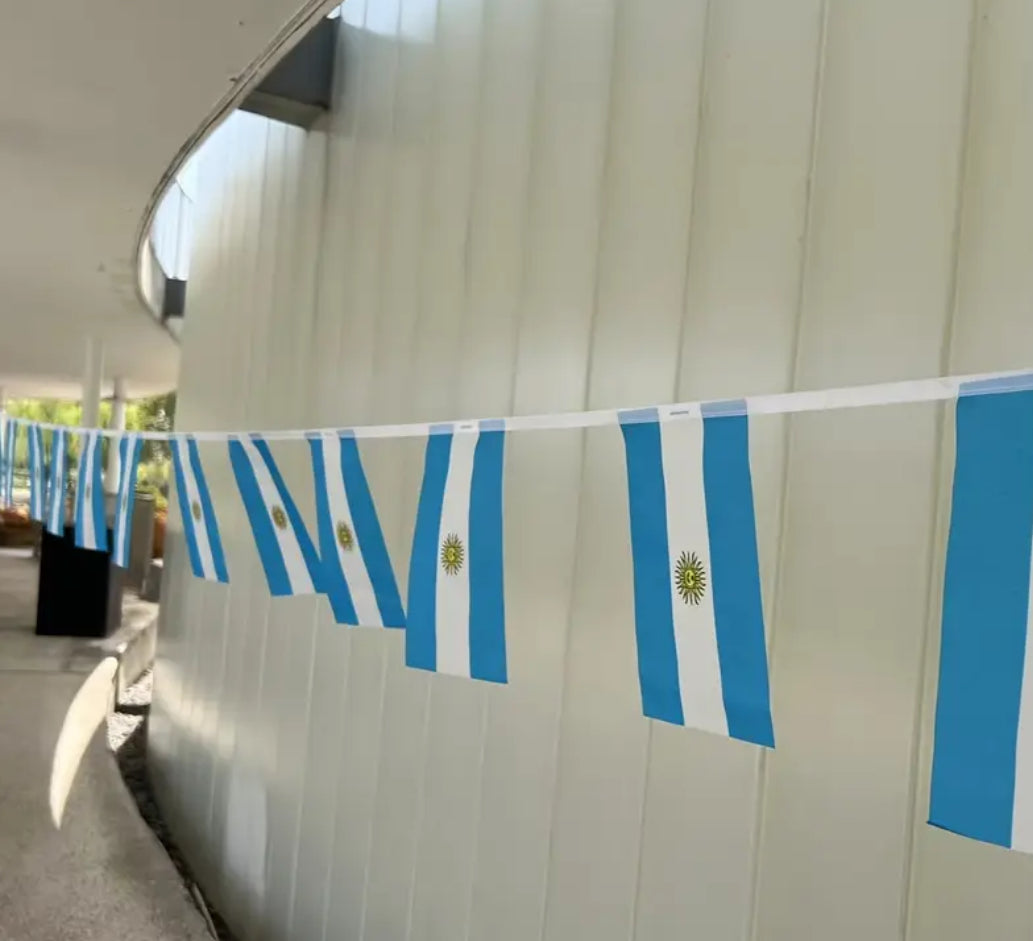 Argentina Country Bunting Flags – 12m String (32 Flags) for Events & Celebrations