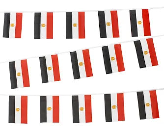 Egypt Country Bunting Flags – 12m String (32 Flags) for Events & Celebrations