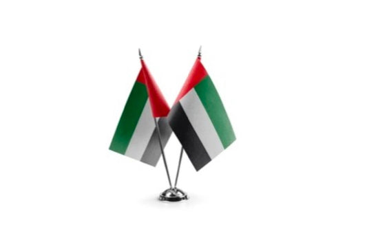 Table / Desk Flag Twin V Shaped