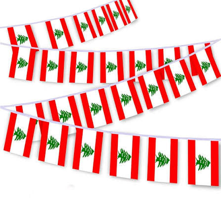 Lebanon Country Bunting Flags – 12m String (32 Flags) for Events & Celebrations