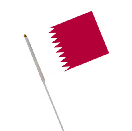 2026 World Cup Hand Flags Set | 48 Nations Handheld Banner Packs 14X21 cm Flags