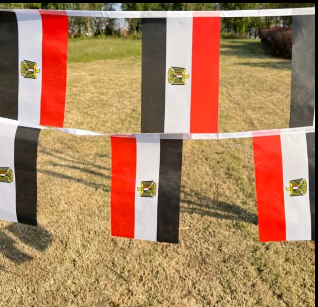 Egypt Country Bunting Flags – 12m String (32 Flags) for Events & Celebrations