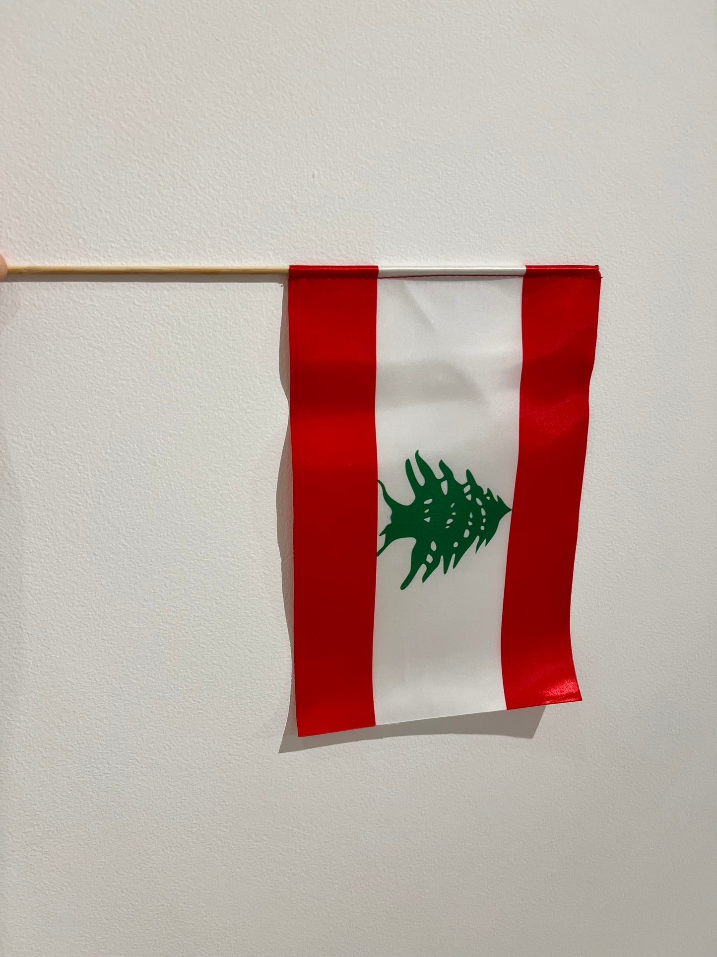 Custom Flag Double Sided Satin