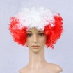 Canada / Lebanon / Georgia / switxerland / Bahrain/ Poland / Austria / England Flag-Colored Afro Wig – Patriotic Fan Costume Wig – National Team Spirit Hairpiece
